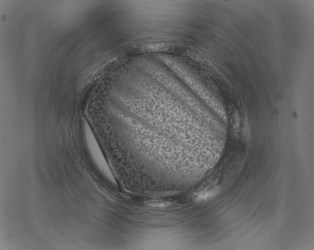 X0000077370746200611031911