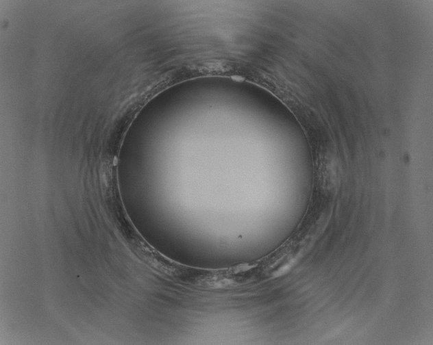 X0000077370747200611031911