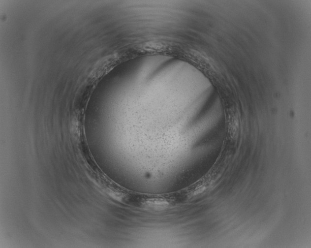 X0000077370749200611031911