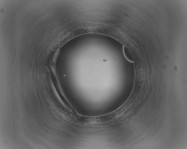 X0000077370750200611031911