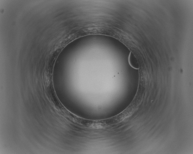 X0000077370751200611031911