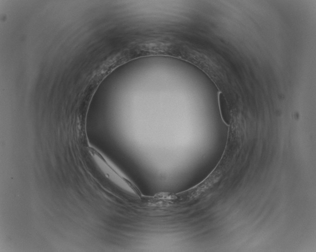 X0000077370752200611031911