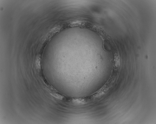 X0000077370753200611031911