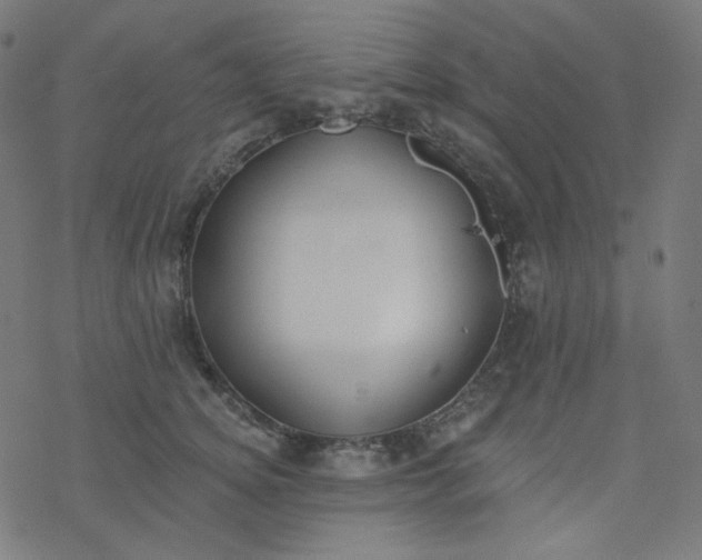 X0000077370756200611031911