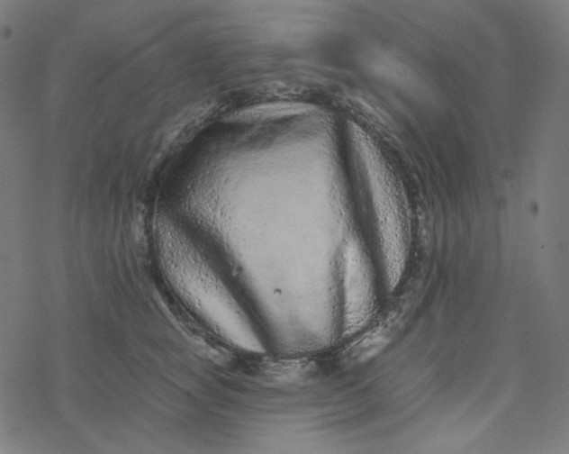 X0000077370757200611031911