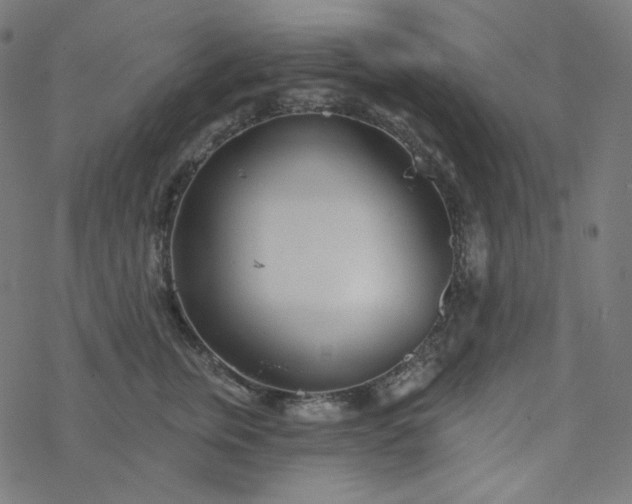 X0000077370759200611031911