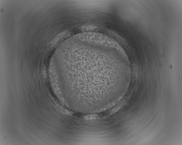 X0000077370761200611031911