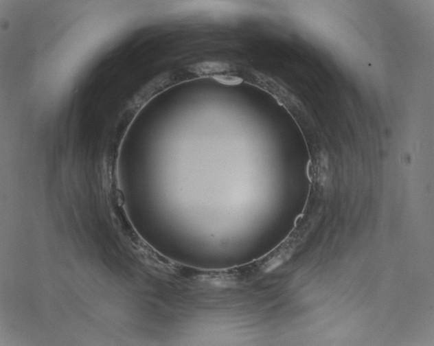 X0000077370763200611031911