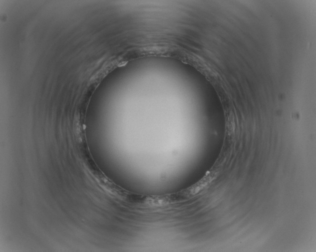 X0000077370764200611031911