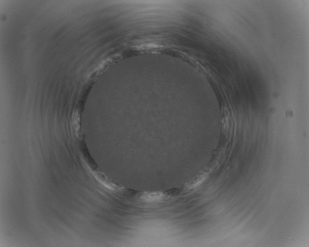 X0000077370767200611031911