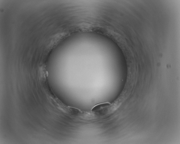 X0000077370768200611031911