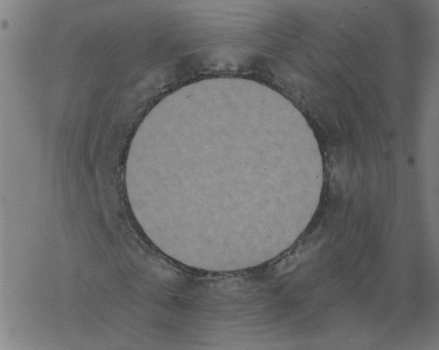 X0000077370769200611031910