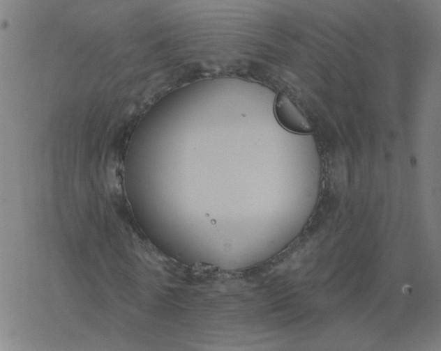 X0000077370770200611031910