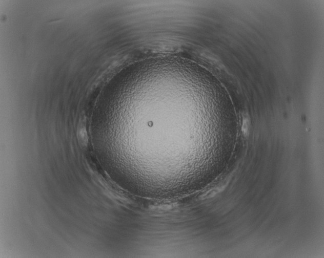 X0000077370771200611031910