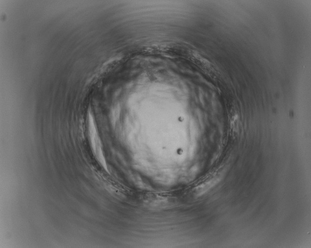 X0000077370772200611031910