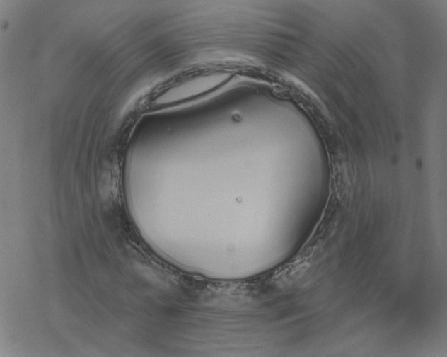 X0000077370775200611031910