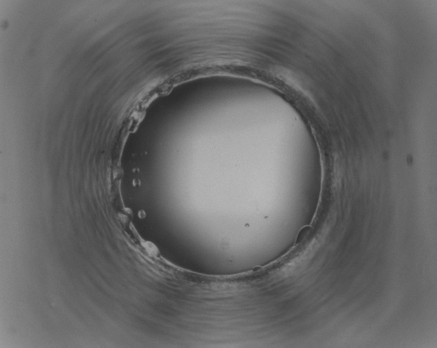 X0000077370777200611031910