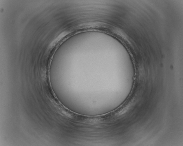 X0000077370778200611031910