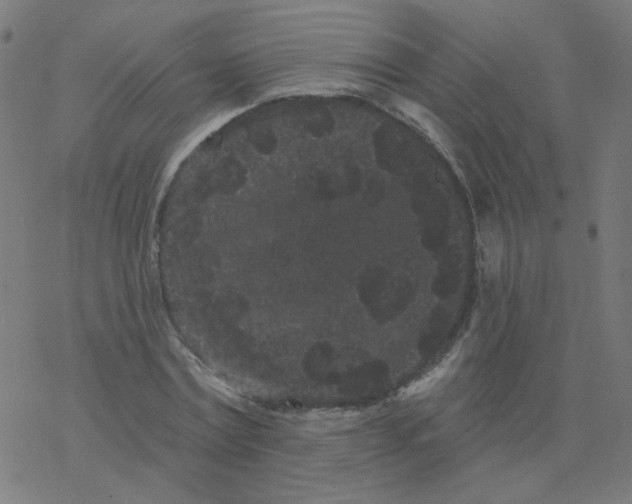 X0000077370779200611031910