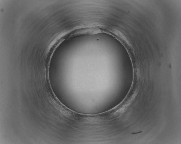 X0000077370781200611031910