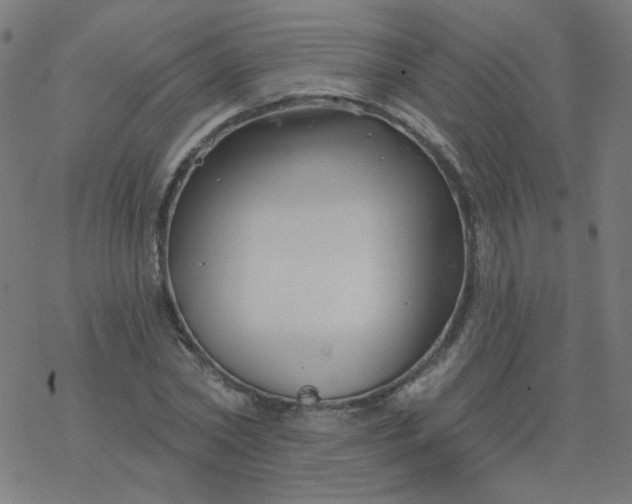 X0000077370782200611031910