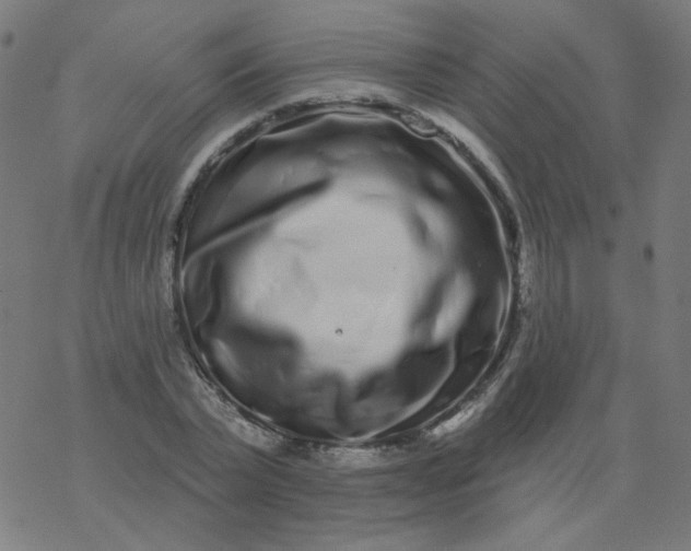 X0000077370783200611031910