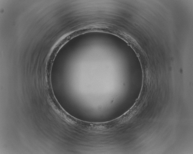 X0000077370784200611031910