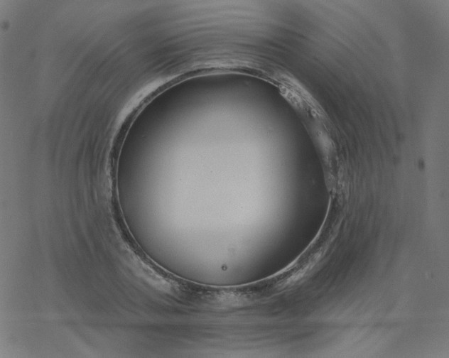 X0000077370787200611031910