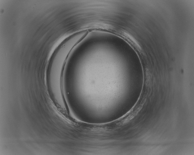 X0000077370788200611031910