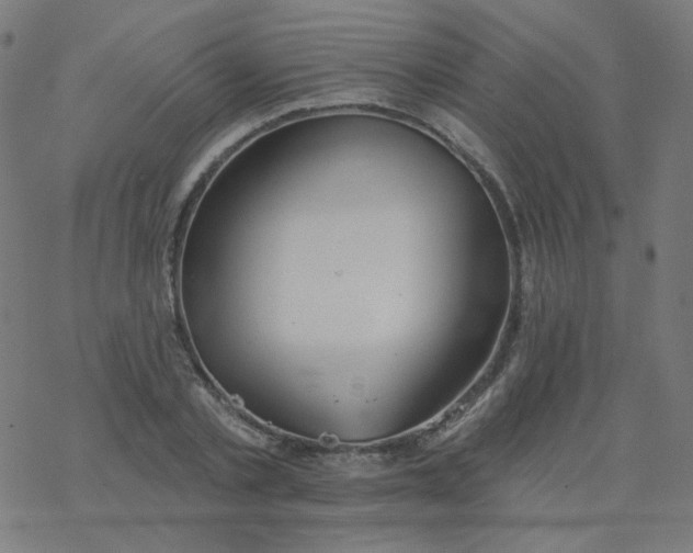 X0000077370789200611031910