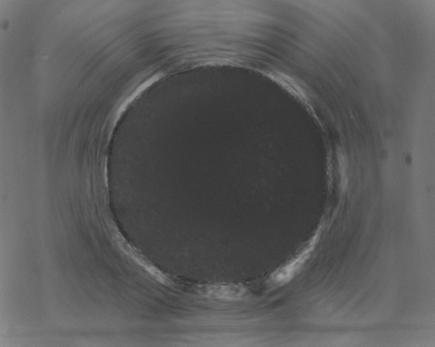 X0000077370790200611031910