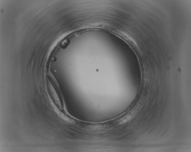 X0000077370792200611031910