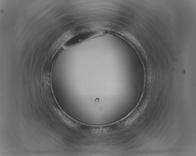 X0000077370793200611031910