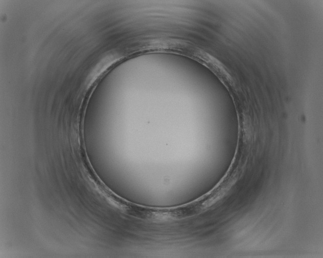 X0000077370794200611031910