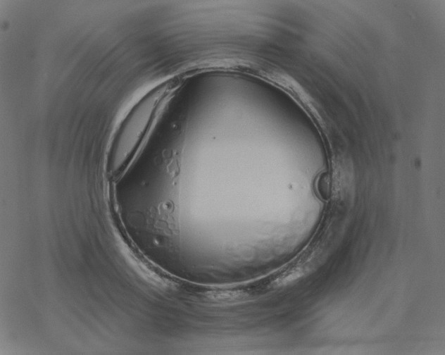 X0000077370795200611031910