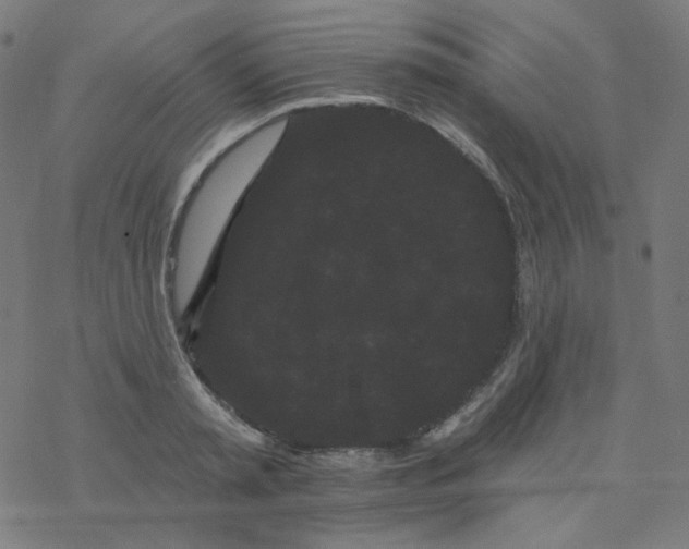 X0000077370797200611031910