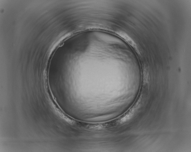 X0000077370798200611031910