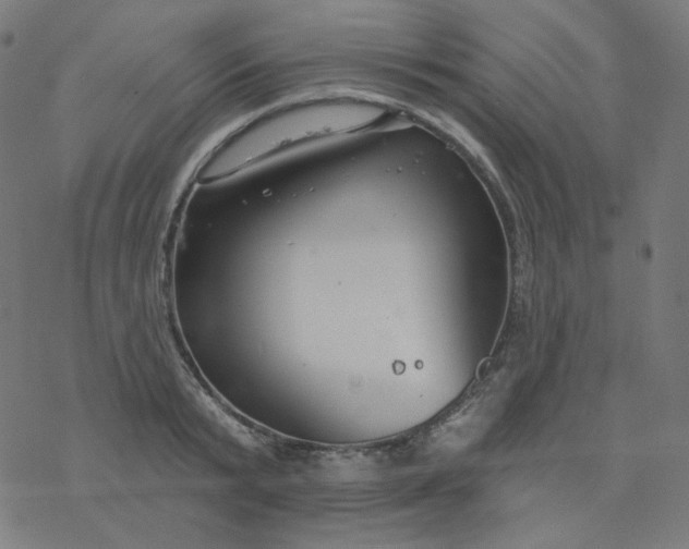 X0000077370799200611031910