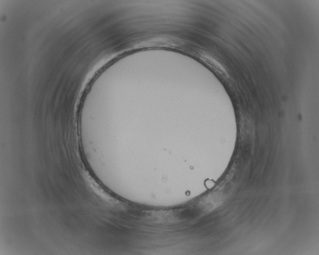 X0000077370800200611031910