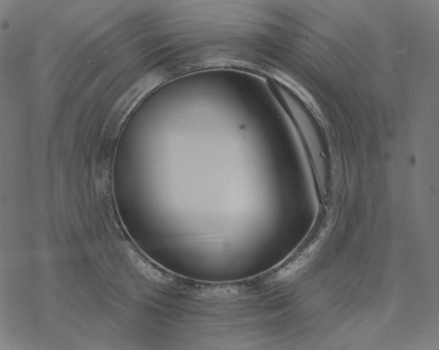 X0000077370801200611031910