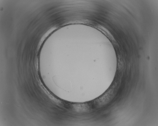 X0000077370804200611031910