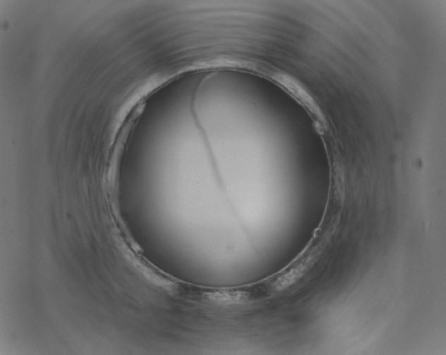 X0000077370805200611031910