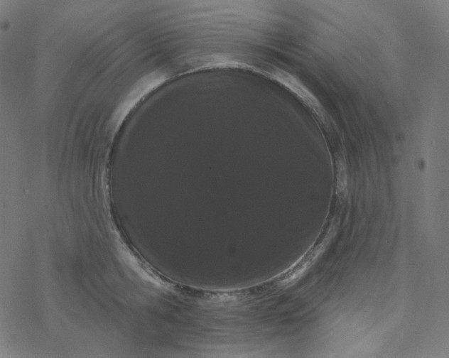 X0000077370806200611031910