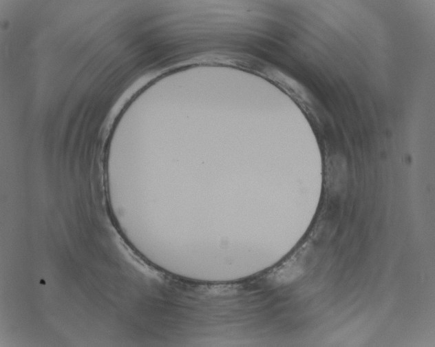 X0000077370808200611031910