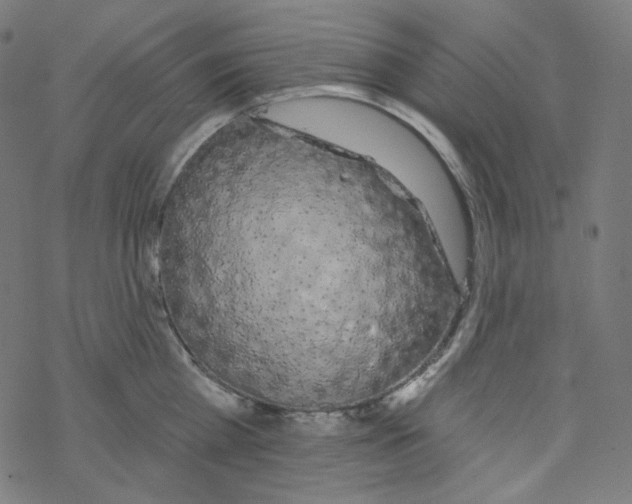 X0000077370809200611031910