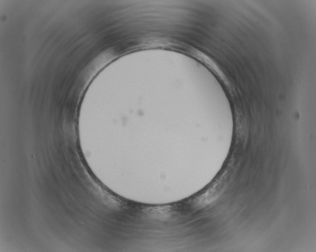 X0000077370810200611031910