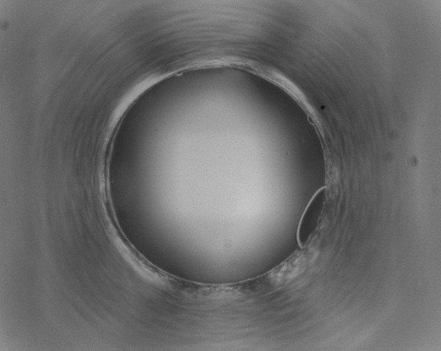 X0000077370811200611031910