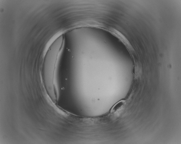 X0000077370812200611031910