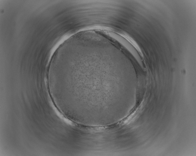 X0000077370813200611031910