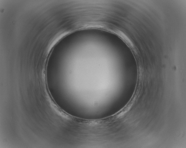 X0000077370814200611031909